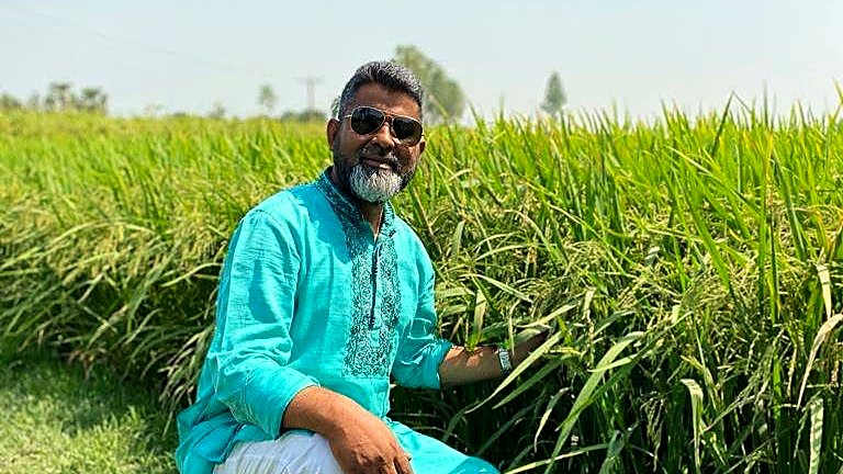 কৃষকদের সঙ্গে ধান কাটছেন এমপি